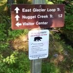 Hiking around an Alaskan Glacier can be very difficult and challenging