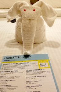 Freestyle Daily newsletter on Norwegian Cruiselines Norwegian Cruise Lines Freestyle Daily Newsletter allows you to know what is going on the next day