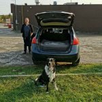 Road Trips can be a pet friendly way to travel
