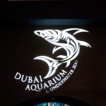 Dubai Aquarium MUST do attractions in Dubai