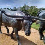 Cattle Drive sculpture in Dallas Texas.