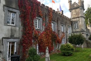Roguetrippers explored the grounds of Ballyseede castle.