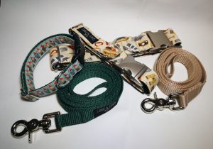 The Best Leashes and collars to pack for pet friendly travel