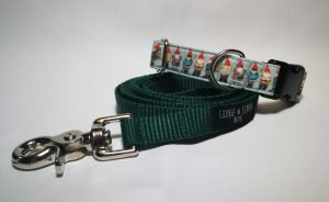 What to Pack for a Road trip with your dog