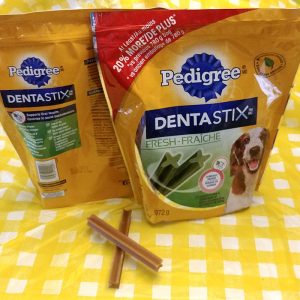 Roguetrippers bring dentastix and other longer lasting chews for their dogs on a roadtrip