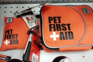 Pack a Dog First Aid Kit for your road trip with your dog