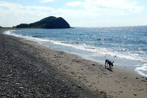 Road trip to Nova Scotia - RandomsTravels played in the Atlantic Ocean a lot.