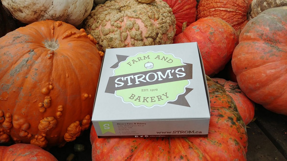 Strom's Farm & bakery in Guelph Butter tart quest