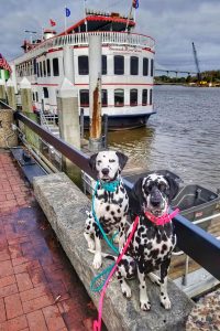 On a Roadtrip down south, Randoms Travels stop to visit Savannah with Roguetrippers