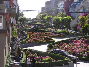 Roguetrippers visited Lombard Street - crookedest street in the world.