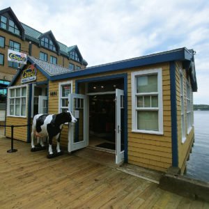 Cows Ice Cream Halifax