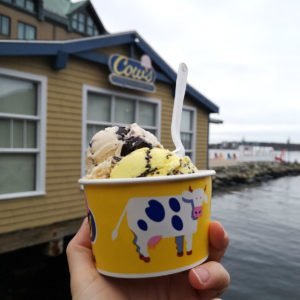 The Best things to do when you visit Halifax is a trip to the Harbour