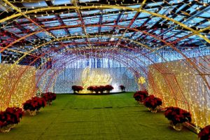 The best things to do in Halifax during Christmas