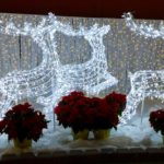 Plan your visit to Halifax for Christmas