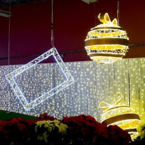 Christmas in Halifax