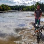 Dalmatians on a Road trip