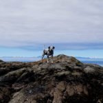 Hazzard the well travelled Dalmatian