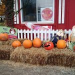 Butter tart Tour of Hamilton Wentworth