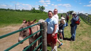 Roguetrippers visit the Donkey Days event at the Donkey Sanctuary in Puslinch, Ontario