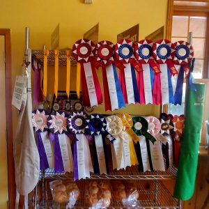At Doo Doo's Bakery in BailieBoro you will see many of her awards for her butter tarts.