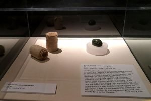 Roguetrippers visit the Museum of natural history in Halifax