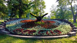 Guelph has many parks and green spaces