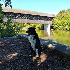 The Covered bridge in Guelph is a favourite attraction