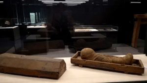 Egyptian Mummies at the Museum of Natural History Halifax