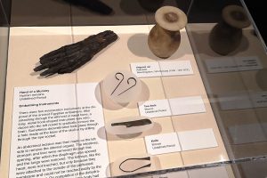 Mummies and eternal life at the Museum of Natural History Halifax