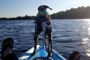 Backyard tourism Hastings county Ontario