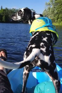 Random loves to go kayaking on Crowe Lake in Marmora