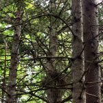 Nova Scotia Trails and Nature excursions