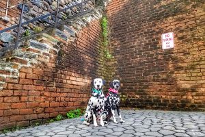 Historic spots to visit in Savannah, Georgia