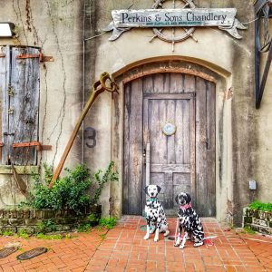 Most historic spots to visit in Savannah Georgia