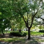 The best things to see in Savannah Georgia