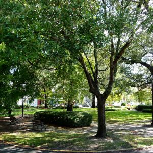 The best things to see in Savannah Georgia