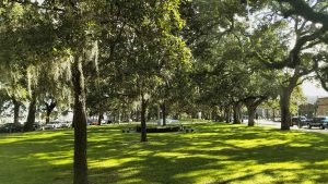 Best things to do in Savannah Georgia