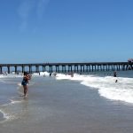 Top Day Trips to make from Savannah Georgia