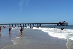 Top Day Trips to make from Savannah Georgia