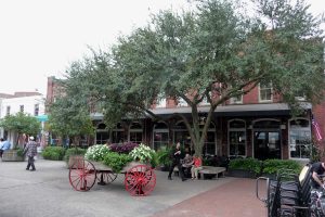 Best places to visit in Savannah Georgia