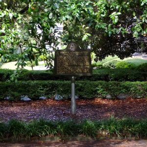 the Best Parks of Savannah Georgia