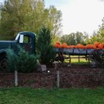 Autumn adventures at Snyder's family Farm