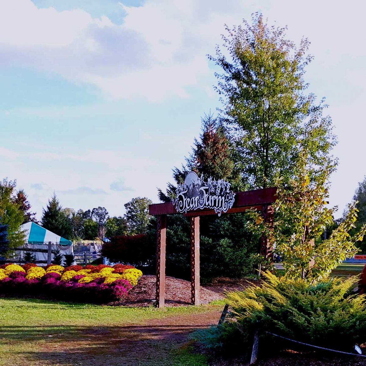 Snyder's Family Farm - Butter Tart Quest - Roguetrippers