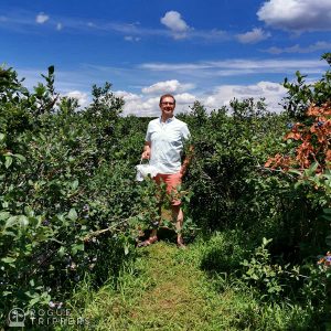 Nick Kulnies enjoys a stroll through the blueberry fields of TNT Berries
