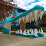 Gatorland is a great Day Trip from Orlando