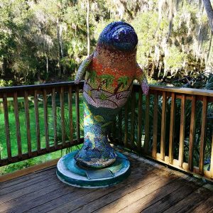Manatees are everywhere at Blue Springs State Park near Orlando