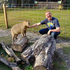 Capybara at Amazing Animals Sanctuary