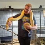 Python Britney Spears