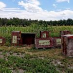 Appleflats Orchard
