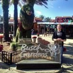 Busch Gardens Tampa is only a short drive from Orlando
